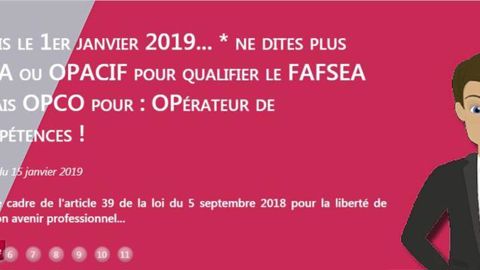 Les structures telles le Fafsea, qui collectaient les fonds de financement de la formation professionnelle, deviennent des OPCO ou opérateurs de compétence…©Fafsea